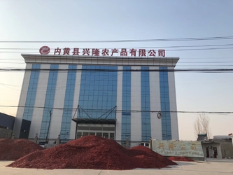 الصين Neihuang Xinglong Agricultural Products Co. Ltd ملف الشركة
