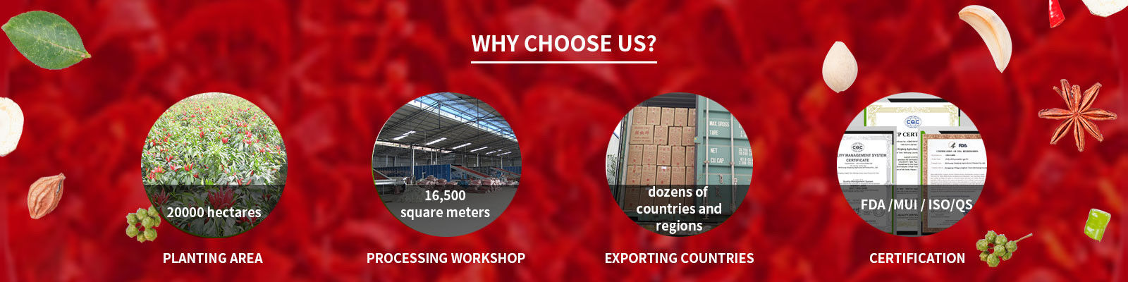 مسحوق الفلفل الحار