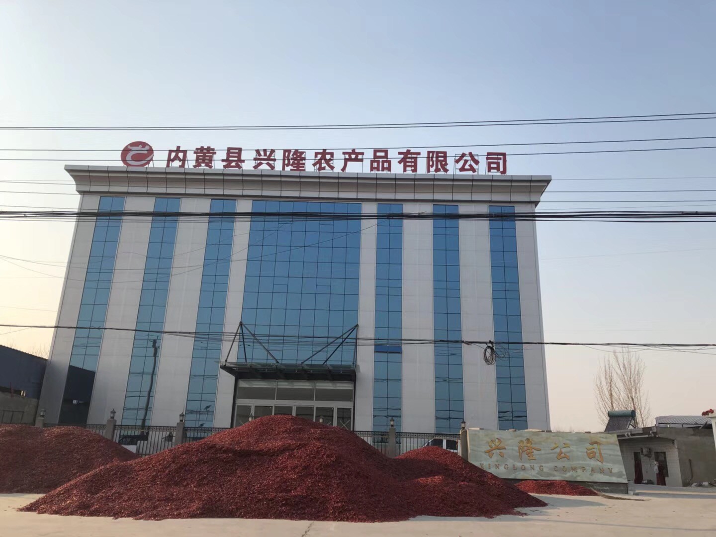 الصين Neihuang Xinglong Agricultural Products Co. Ltd