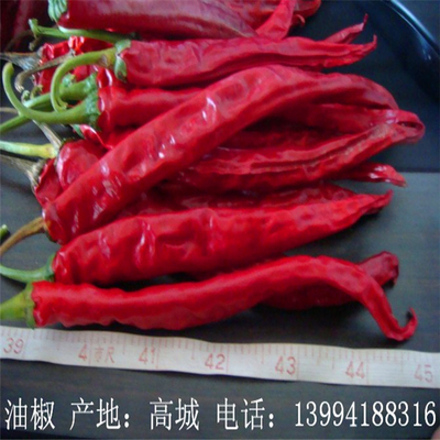 لا صبغة Erjingtiao Chilis المجففة 16 سم الأحمر الجذعية التجفيف 8000SHU