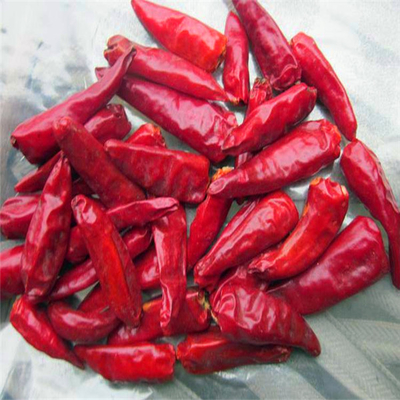 نكهة شديدة مع نمو الأعمال