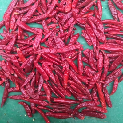 FDA AB الفلفل الأحمر الخفيف مسحوق الفلفل الحمراء 100 غرام مكان جاف وبارد