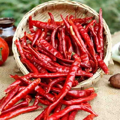 7-19 سم الطول الفلفل الطازج المجفف مع عبوة مختومة بالفراغ