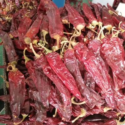 عشبة وحيدة وتوابل على فلفل الببريكا المجفف لاحتياجات عملك