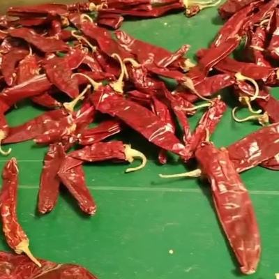 عشبة وحيدة وتوابل على فلفل الببريكا المجفف لاحتياجات عملك