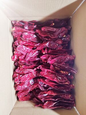 Natural Red No Additive Paprika Chilli Dried Red Chilli Peppers 10kg/CTN for Food Cooking