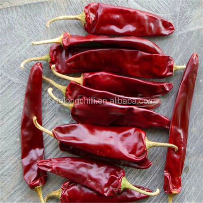 Shelf Life 1 Year Chinese Dried Chili Peppers Crispy Texture Kept in Dry Cool Place Ideal for Flavoring and Food Service