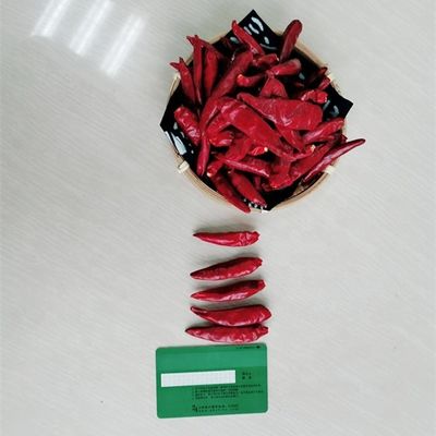 الفلفل الحار الأحمر الصيني المجفف Chaotian Szechuan الفلفل الحار المجفف المضاف إليه صفر