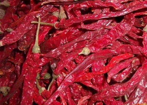 الفلفل الأحمر المجفف مع المكونات بدون جذع يضيف بعض التوابل إلى وجباتك