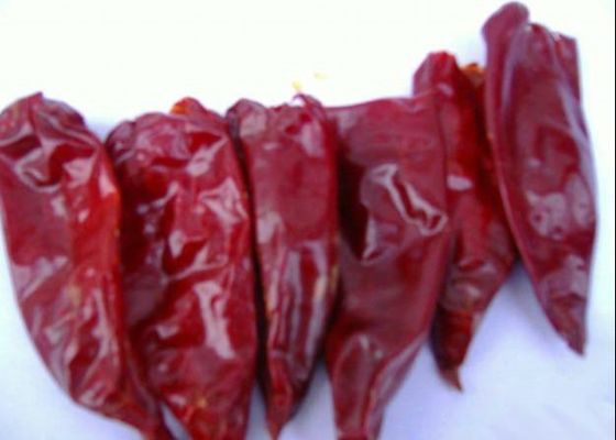 الفلفل الحار الخام Yidu Zero Additive 2000 Scoville Long Dry Red Chilli