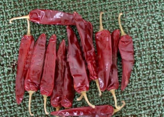 رقم الشبكة وضع العلامة وتحديد الهوية الطماطم الحمراء المجففة الرطوبة≤14٪ للمنتجات