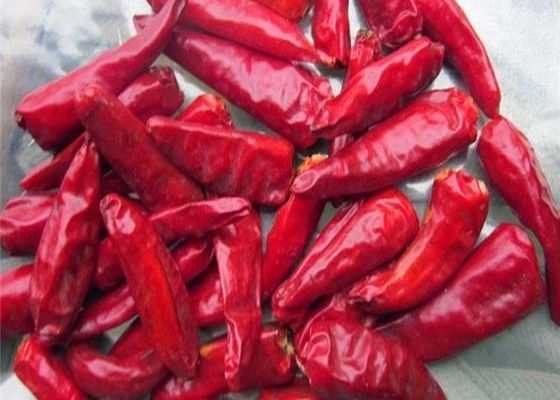 احتفظ بمكونات الفلفل في مكان بارد وجاف