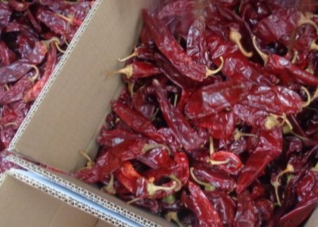 الكرز الأحمر المجفف Guajillo Chilis 13 سم الفلفل الأحمر الطويل المجفف 100 SHU