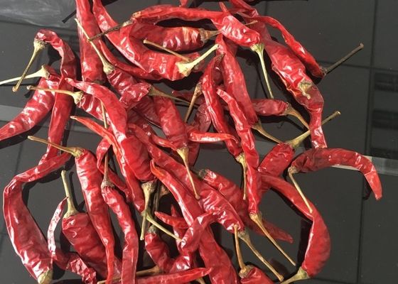 الفلفل الحار الأحمر Yidu Tianying Jinta Chili American Red Chilli New Crop FDA HACCP ISO KOSHER