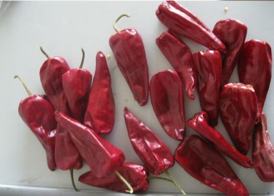 فلفل أحمر فلفل Yidu عضوي Beijinghong Jinta Chilli 10 سم 12٪ رطوبة