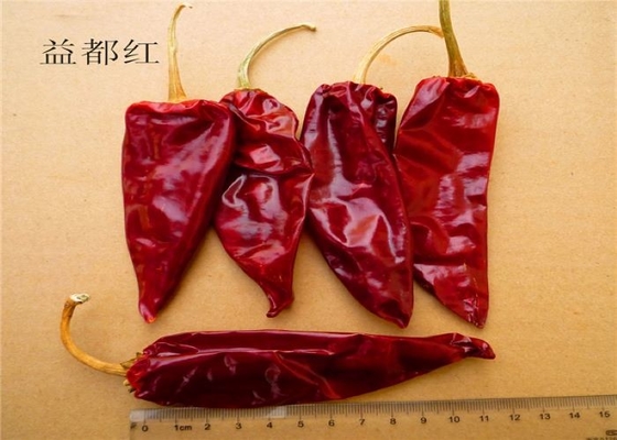 فلفل أحمر فلفل Yidu عضوي Beijinghong Jinta Chilli 10 سم 12٪ رطوبة