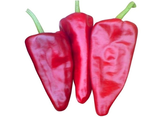 العضوية Yidu الفلفل الأحمر الفلفل الأحمر Beijinghong Jinta Chilli FDA HACCP KOSHER BRC شهادات