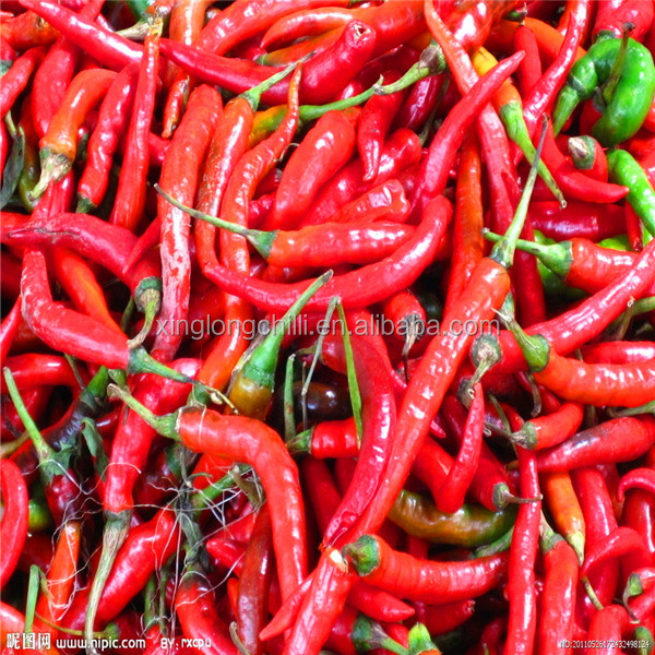 Raw Processing Type Hot Nutritional Value High In Vitamin C And Antioxidants