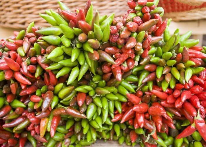 فلفل الطيور المجفف الحرارة العالية مستوى 10000-20000شو فلفل الفلفل لصالحك